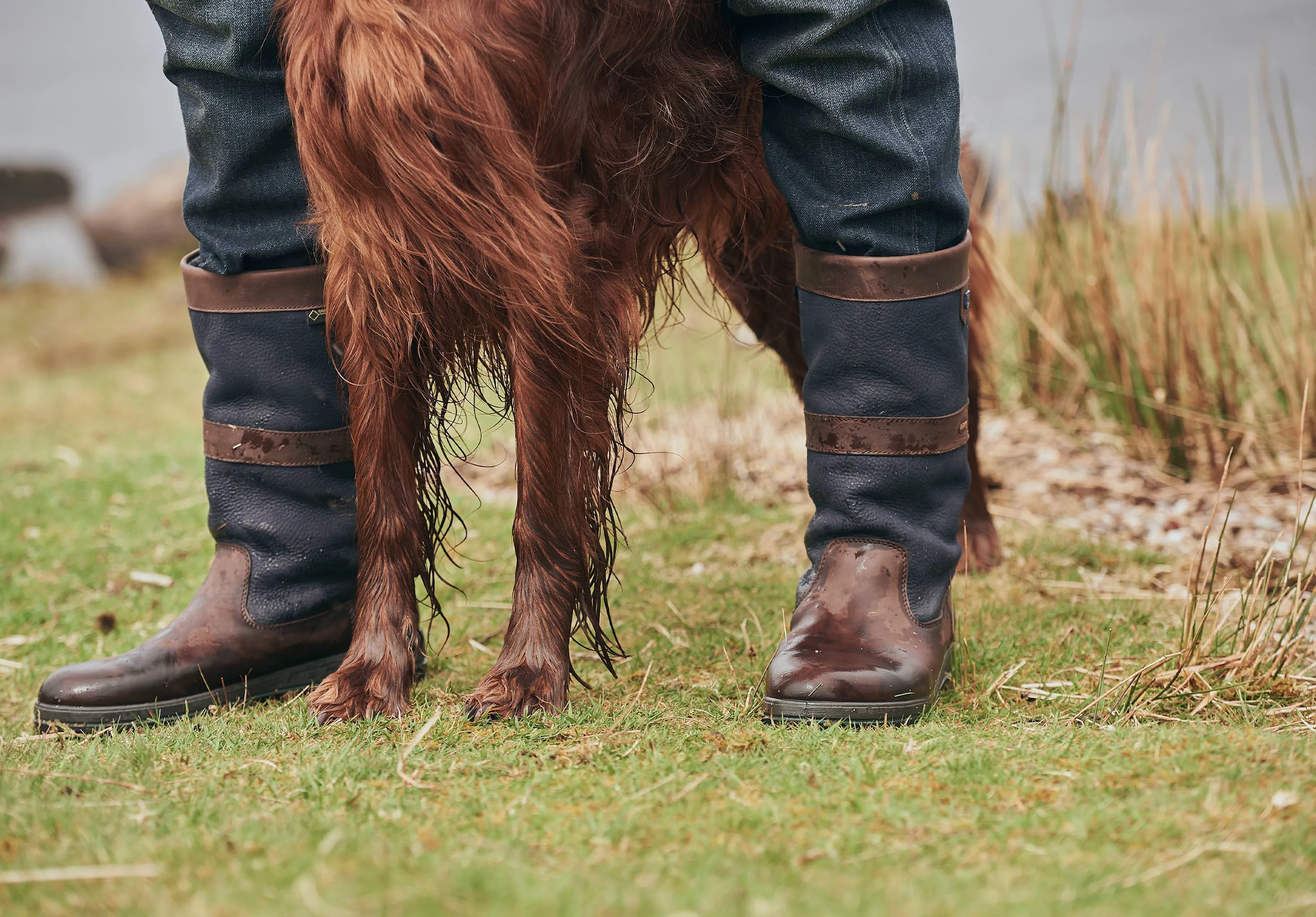 Kildare Mens Country Boot - Navy/Brown